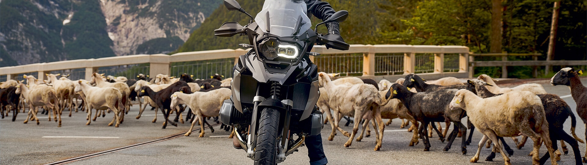 Pacchetti Manutenzione BMW Motorrad -  Service Inclusive e Oil Inclusive